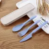 Flatware Set Travel Cutlery Portable Cutlery Box Japan Style Wheat Straw Knife Fork Spoon Student Dinnerware Sets Kitchen Tableware RRD96