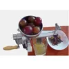 Juicers tarwesgrass juicer huishoudelijke fruit groentesap maken machine knijpen