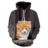 Erkek Hoodies 3D Baskı Gündelik Komik Siyah Hoodie Fashion Hip Hop All-Match Sweatshirt Kadın İlkbahar ve Sonbahar Jack