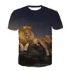 T-shirt da uomo 2022 Design Animal 3D T-shirt stampata Stile retrò di camicia a maniche corte europea e americana da uomo/donna T-shirt