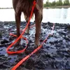 Collari per cani Guinzaglio lungo in PVC Impermeabile Animali domestici Richiamo Addestramento Monitoraggio Obbedienza Guinzaglio Corda facile da pulire 5m 10m