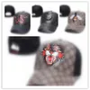 أفضل بيع الأفعى Cap Fashion Snapback Caps Caps Leisure Hats Bee Snapbacks في الهواء الطلق قبعة رياضية للجولف للرجال HHH2112