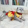 Anime kostymer genshin påverkar xiangling kostym cosplay katt hund husdjur kläder