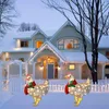 Kerstdecoraties verlichten kip met sjaalvakantiedecoratie LED Outdoor Garden Patio Lawn Decor Kerstmis licht ornamenten