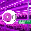 5V USB LED Coltiva La Luce Spettro Completo 1-5m Pianta Striscia Phyto Lampada Per La Serra Fiore Piantina Coltiva La Tenda idroponica