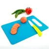 Tagliere da cucina in plastica per verdure, frutta, pane, tagliere da campeggio per alimenti, tagliere da cucina antiscivolo