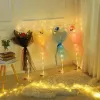 Ballons de la fête de la Saint-Valentin Baloussins de bobo lumineux transparents avec fleur de rose pour anniversaire de mariage anniversaire décoration de banquet