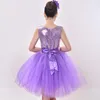 Stage Wear Girl Ballet Clothes Dance Dress Gymnastics Leotard Ballroom Performance Clothing Competition Practice Children