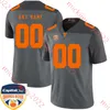 2023 Maglia da calcio Tennessee Volunteers più recente stile Nico Iamaleava Ryan Damron Daevin Hobbs Dont'e Thornton Jr. Arion Carter Cameron Seldon Tennessee maglie