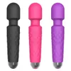 20 Frekvens Stark chockvibrator Kvinnlig kön Orgasm AV Vibrator Masturbation Massage Stick Toy HS86542