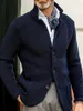 Maglioni da uomo 2022 Autunno Luce Moda di lusso Maglione Colletto alla coreana Cardigan Uomo Giacca lavorata a maglia Tutto-fiammifero Boutique Abbigliamento Stile semplice