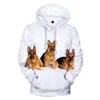 manteau de chien berger allemand