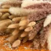 Decorative Flowers 66pcs Dried Pampas Grass Decor Real Reed Fluffy Dry Wedding Arrangement DIY Bohemian Natural Bouquet For Home