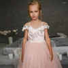 Girl Dresses Dark Pink Sparkly Aline Toddler Birthday Flower Dress Cap Sleeves Wedding Party Custom Made Fashion Show