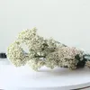 Decoratieve bloemen Natural Real Drooged Millet Flower Bouquet Diy Resin Accessoires voor centerpieces Decoratie Home Wedding Party