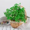 Decoratieve bloemen 80G Natuurlijk gedroogd bewaard gebleven gipspaniculata Frisse baby ademboeket Boho Huistafel Decor voor bruiloftdecoratie