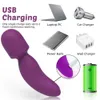 Articles de beauté Mini gode AV vibrateur stimulation du clitoris féminin à dix fréquences Chargement USB Baguette magique G-Spot produits sexy pour adultes
