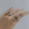 Anillos de racimo Sólido 925 Plata esterlina Geométrica Cubic Zirconia Anillo para las mujeres Morning Glory Flor Boda Joyería chapada en oro blanco