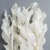 Dekorativa blommor 5st Eternal Orange Leaf bevarade Lily Lows Dry Flower Torked Natural Fresh Immortal Plant Wedding Home Decoration