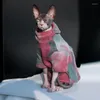 Hundkläddesigner lyxig färgglad kattvalp tröja små klädhuvor för schnauzer Yorkie poodle sphynx