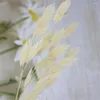 Dekorative Blumen, 5/10 Stück, natürlicher getrockneter Blumenstrauß, Diamant-Grasblatt, Po-Requisiten, Hochzeitszeremonie, Dekoration, modernes Zuhause