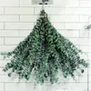 Decorative Flowers Shower Eucalyptus Hanging Natural Plant For 10 PCS Real Fresh Branches Home DIY El Office