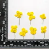 Dekorativa blommor Original våldtäkt DIY Torkad pressad för örhänge Handmande Floral Free Transport 1 Lot/120pcs
