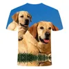 T-shirt da uomo Moda T-shirt estiva da uomo 2022 Stampa 3D Cute Puppy Uomo traspirante Streetwear Taglia XXS-6XL