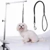 Colliers pour chiens 2 pièces pour animaux de compagnie boucle de verrouillage pince corde pour toilettage Table bras bain Nylon chat laisse accessoires livraison directe