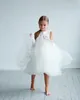 Robe princesse à fleurs Hi-lo pour filles, longueur aux genoux, deux couches, en Tulle, robe de bal, sans manches, pour fête de mariage, noël