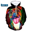 Erkek Hoodies 2022 Moda Unisex Komik Köpek 3D Baskı Erkekler/Kadın Sevimli Pitbull Boyalı Üstler Grafik Sweater