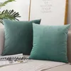 Pillow Case Blue Solid Velvet Sofa Cushion Cover 30x50/40x40/45x45/50x50cm Super Soft Throw Decorative 2pcs