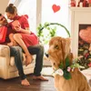 装飾的な花ペット人工フラワーリースハンドメイドシミュレーションバレンタインデーの結婚式パーティーの装飾犬デコロアクセサリーのためのガーランド