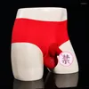 Underpants Silk Ice Seamless Slanct Mutandine sexy per gli uomini cattive patch di marsupio erotico Lingerie Gay Sissy Briefs