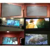 Экраны видеопроекции портативного проектора.