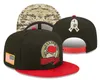 2022 Salute To Service Snapback Hat Футбольные кепки Кепки команд Кепки Snapbacks Регулируемый заказ смешивания Все кепки