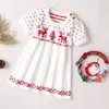 Robes de fille année enfants filles tricot cerf flocon de neige imprimé pull costume princesse vêtements de noël 221101