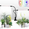 Grow Lights WSFS USB LED INDOOR LIGHT 40WフルスペクトルPhyto Lamps Sunlight White for Plants House Hydroponics Jusulent Box