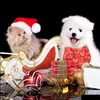 Andra hundförsörjningar 20 Pack Christmas Dog Bandana Snowman Snowflake Elk Plaid Pets Scarf Triangle Bibbs Nyår Bandanas för Small Me DH1WC