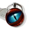 Keychains Frost Eye Resin Keychain Jewelry Keyring Charm Cabochon Glass Gift Key Chain Ring