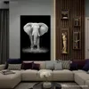 Pintura de lona Pintura de elefante preto e branco Zebra giraffe tigre Arte da parede Posters de arte de animais pinturas impressas de impressão para quarto quarto sem moldura sem moldura