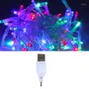 문자열 1m 2m 5m 10m LED USB 문자열 화환 크리스마스 트리 요정 가벼운 체인 방수 정원 웨딩 파티 야외 휴가 장식