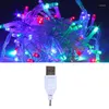 Strings 1m 2m 5m 10m LED USB String Garland Kerstboom Fairy Fairy Lichte Keten Waterdichte Home Garden Wedding Party Outdoor Holiday Decor