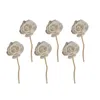 Decorative Flowers Sticks Diffuser Rattan Flower Rattans Reed Aroma Oil Essential Fragrance