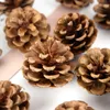 Flores decorativas pinhões naturais de pinhões de fruta Fake Plant Cone Flower Pinexle Cones para casamento caseiro de natas de coroa Decoração de festa natalina DIY DIY