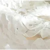 Rideau brodé en Voile de Rose, blanc pur, pour chambre à coucher, fête de mariage, Festival, fil de gaze décoratif, Tende de fenêtre française