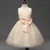 Girl Dresses Infant Baby Girls Flower Christening Gowns Born Babies Baptism Clothes Princess Tutu Birthday White Bow Dress