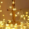 Dizeler tam yıldız LED ışık dize pil kutusu renkli Hediye Düğün Dekorasyonu Noel Sevgililer Günü Doğum Günü Partisi