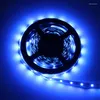 Streifen 5M/10M LED-Streifenlicht 60 LEDs/m SMD 2835 Warmweiß Rot Grün Blau RGB 12V Wasserdichtes flexibles Band Seilband