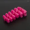 Valse nagels 50 sets 600 stuks vierkante vorm nagel in 20 verschillende kleuren nep -tips diy stokdruk op kunstontwerpen